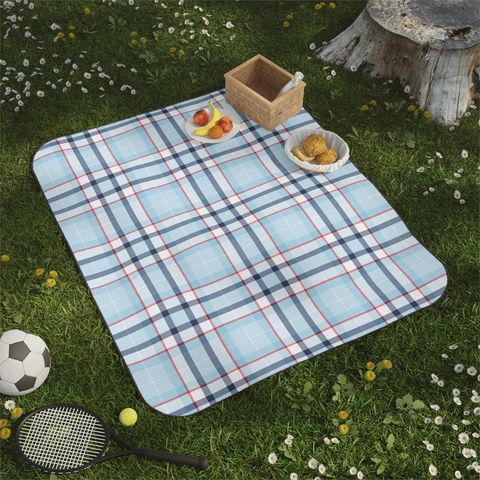 Frosty Plaid Picnic Blanket