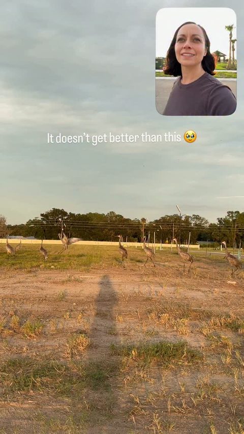 Nature is so beautiful